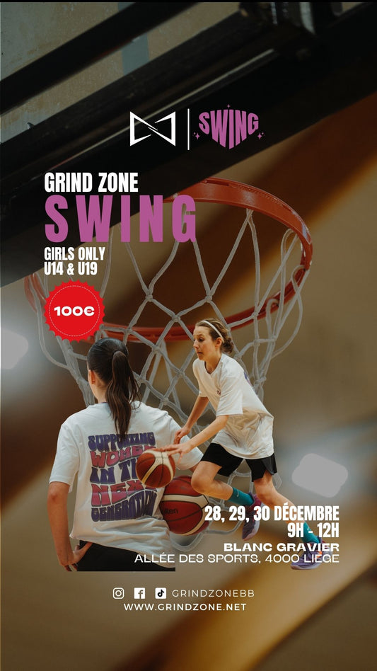 SWING Winter Camp